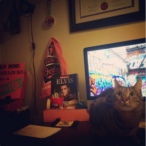 workspace with O's gear and a kitty