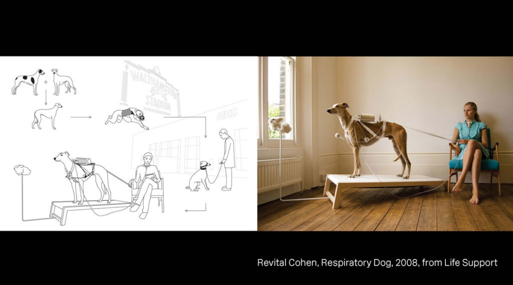 revital-cohen-respiratory-dog-design-futurism